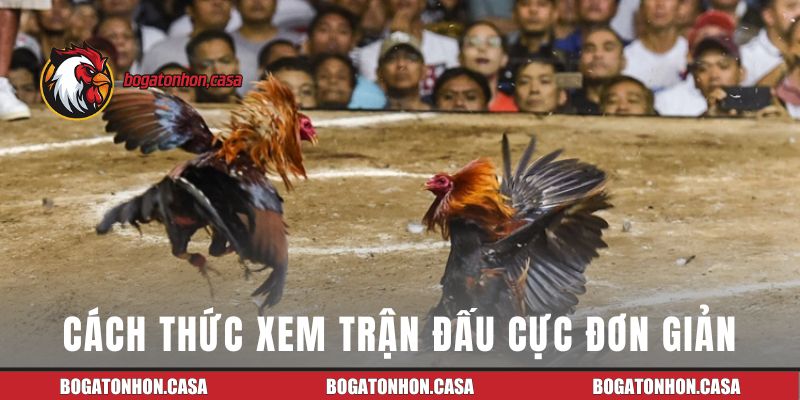Cách thức xem trận đấu cực đơn giản