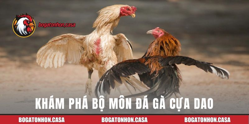 Khám phá sức hấp dẫn của bộ môn đá gà cựa dao trực tuyến