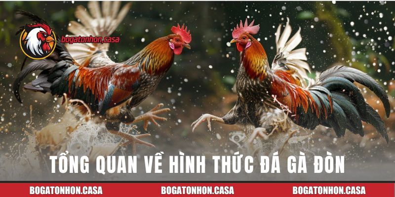 Tổng quan về hình thức đá gà đòn truyền thống