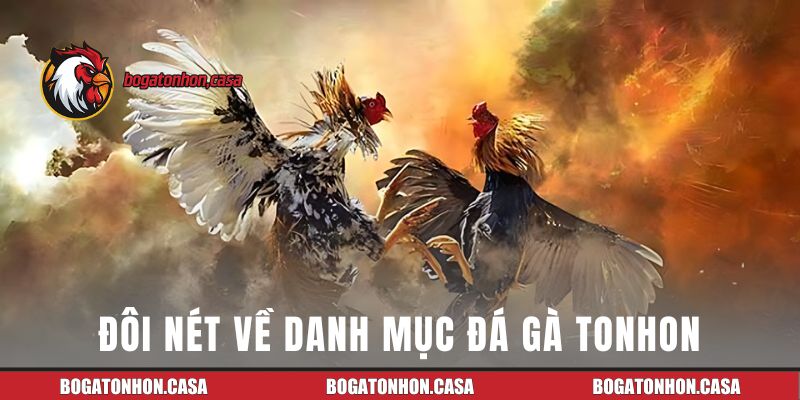 Đôi nét về danh mục đá gà TONHON