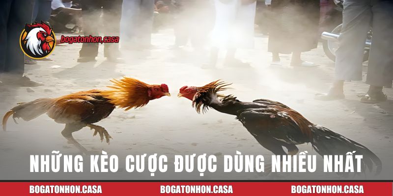 Những kèo cược được dùng nhiều nhất