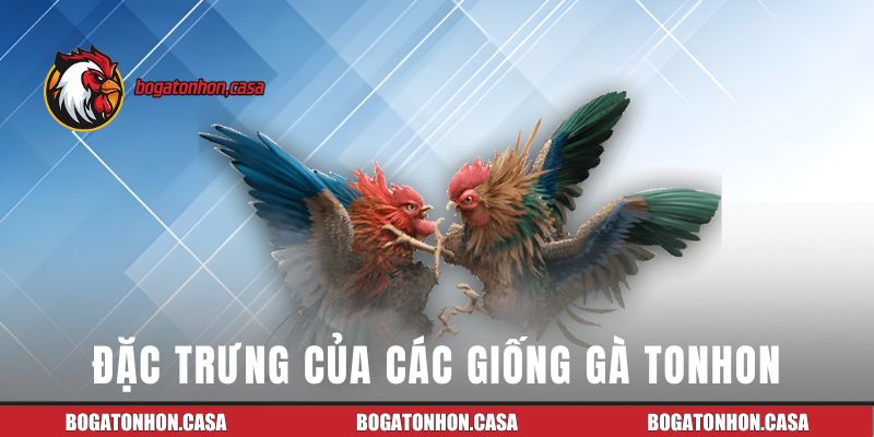 Đặc trưng của các giống gà Tonhon
