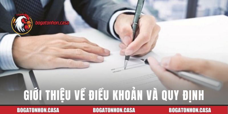 Tổng quan về điều khoản và quy định của bồ gà Tonhon