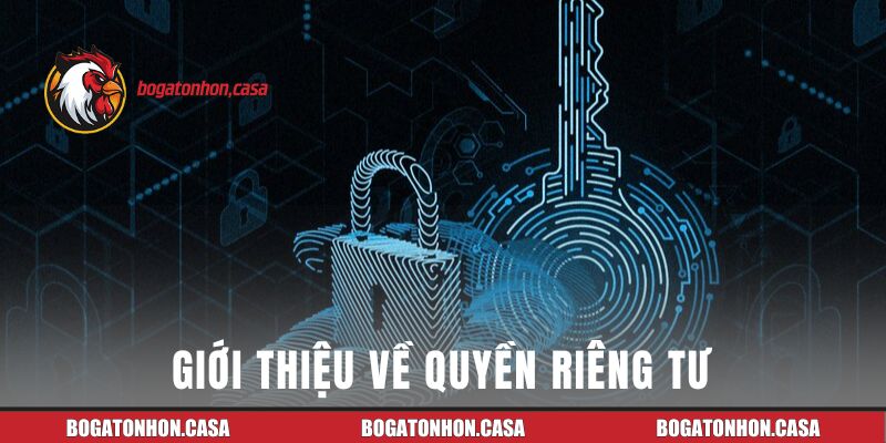 Giới thiệu về quyền riêng tư của bồ gà Tonhon