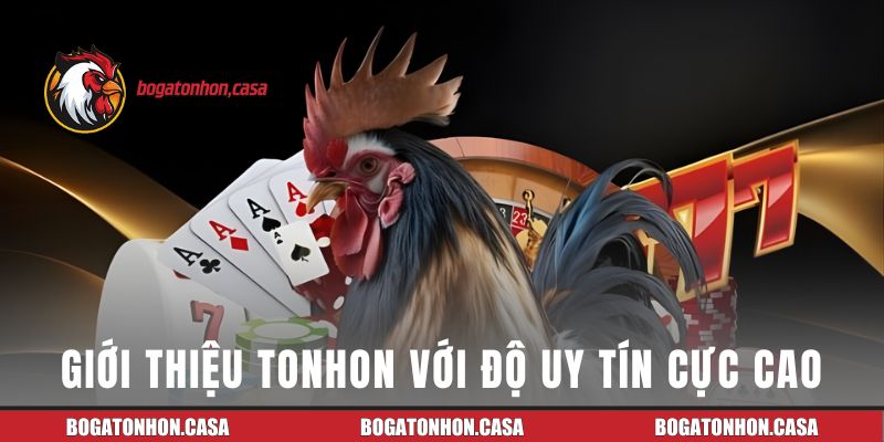 Độ uy tín của Bồ Gà Tonhon