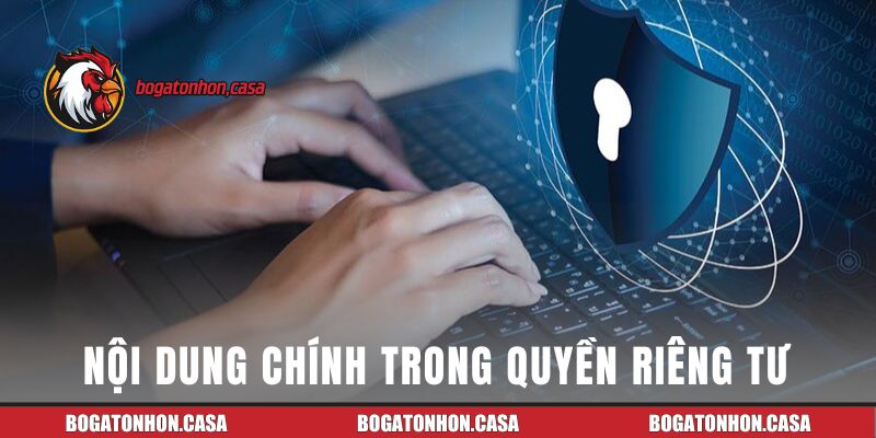 Nội dung chính trong quyền riêng tư của Bồ gà Tonhon