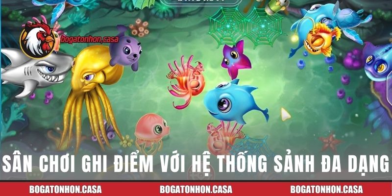 Sân chơi ghi điểm với hệ thống sảnh đa dạng