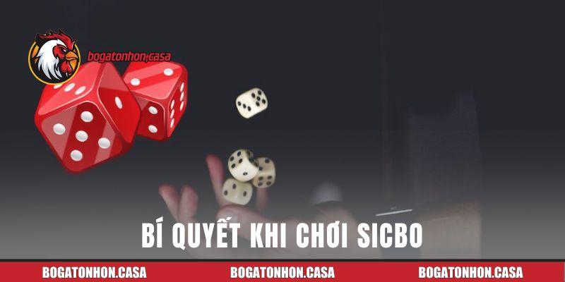 Bí quyết nâng cao tỷ lệ thắng khi chơi Sicbo tại Bồ Gà Tonhon