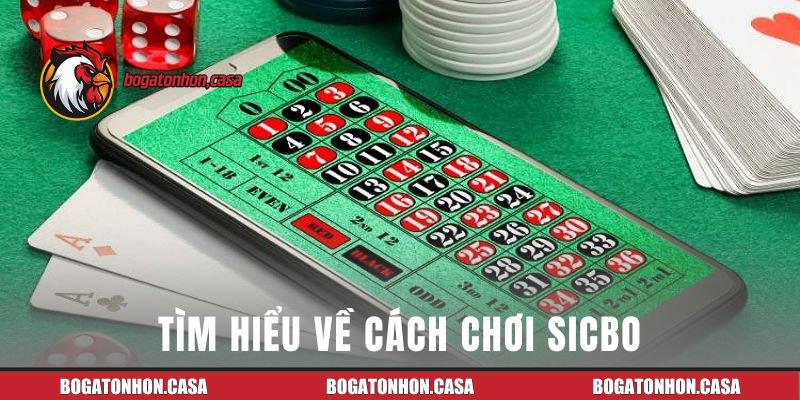 Tìm hiểu về cách chơi sicbo tại Bồ Gà Tonhon